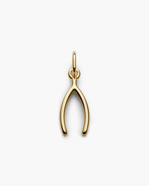 Wishbone Charm