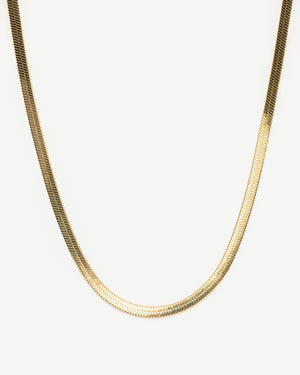 Gold snake chain necklace on white background